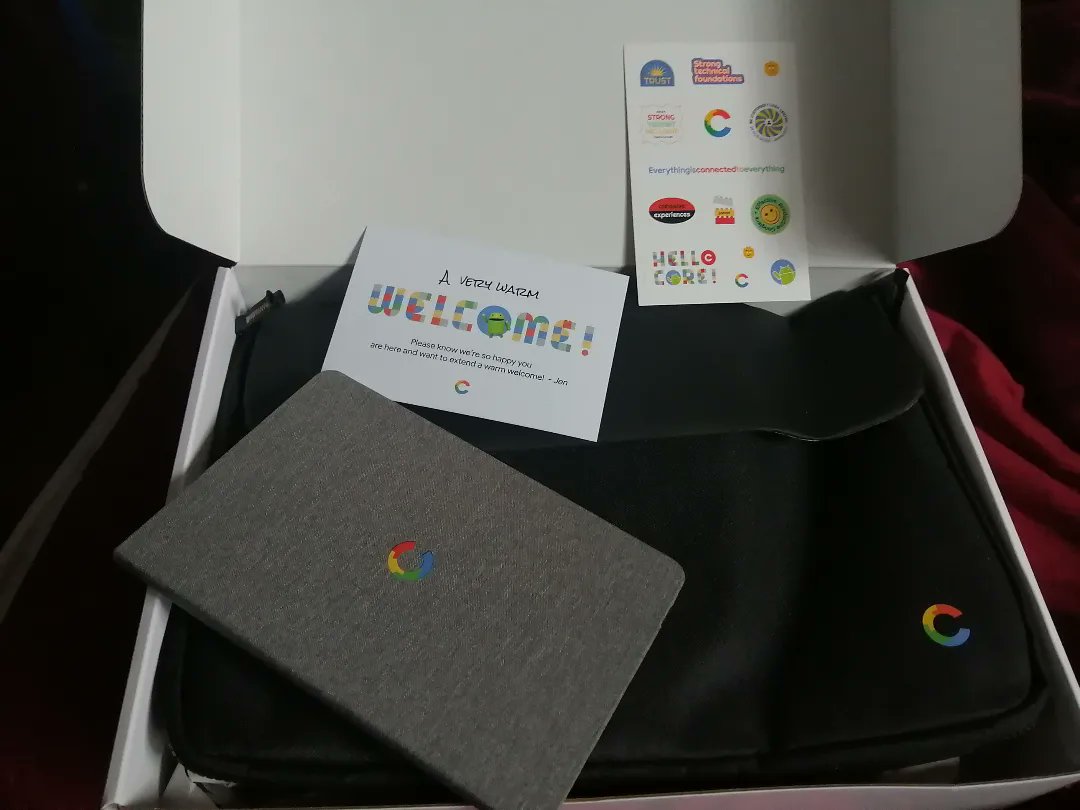 manoelmenezesjr's tweet image. Chegou o kit da minha org no google #google.