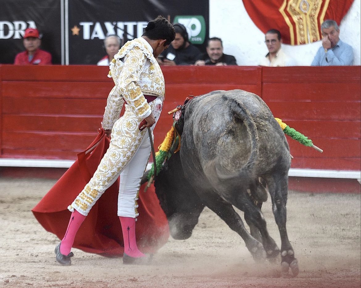 Hacer lo que se siente, sentir lo que se hace. 🫀