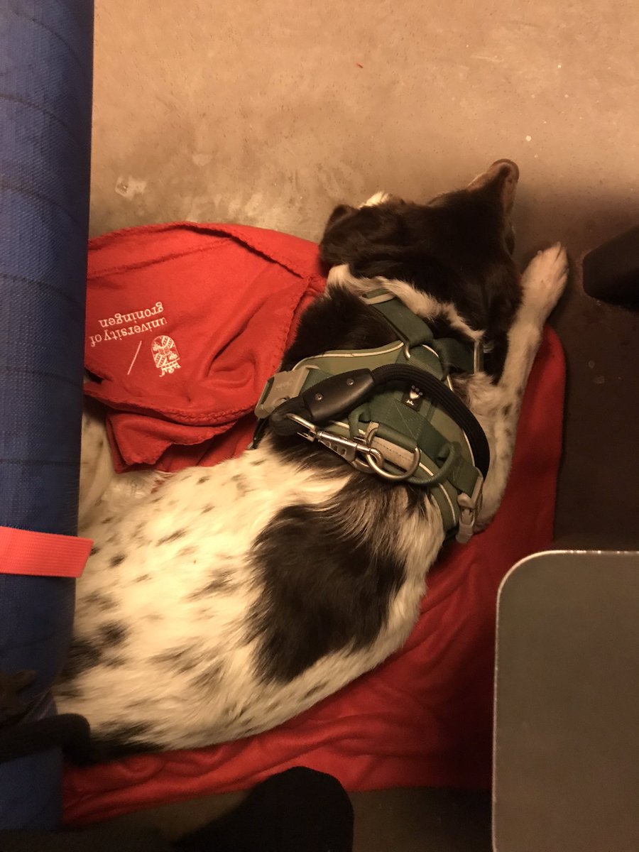 Ruby van Vliet tweet media