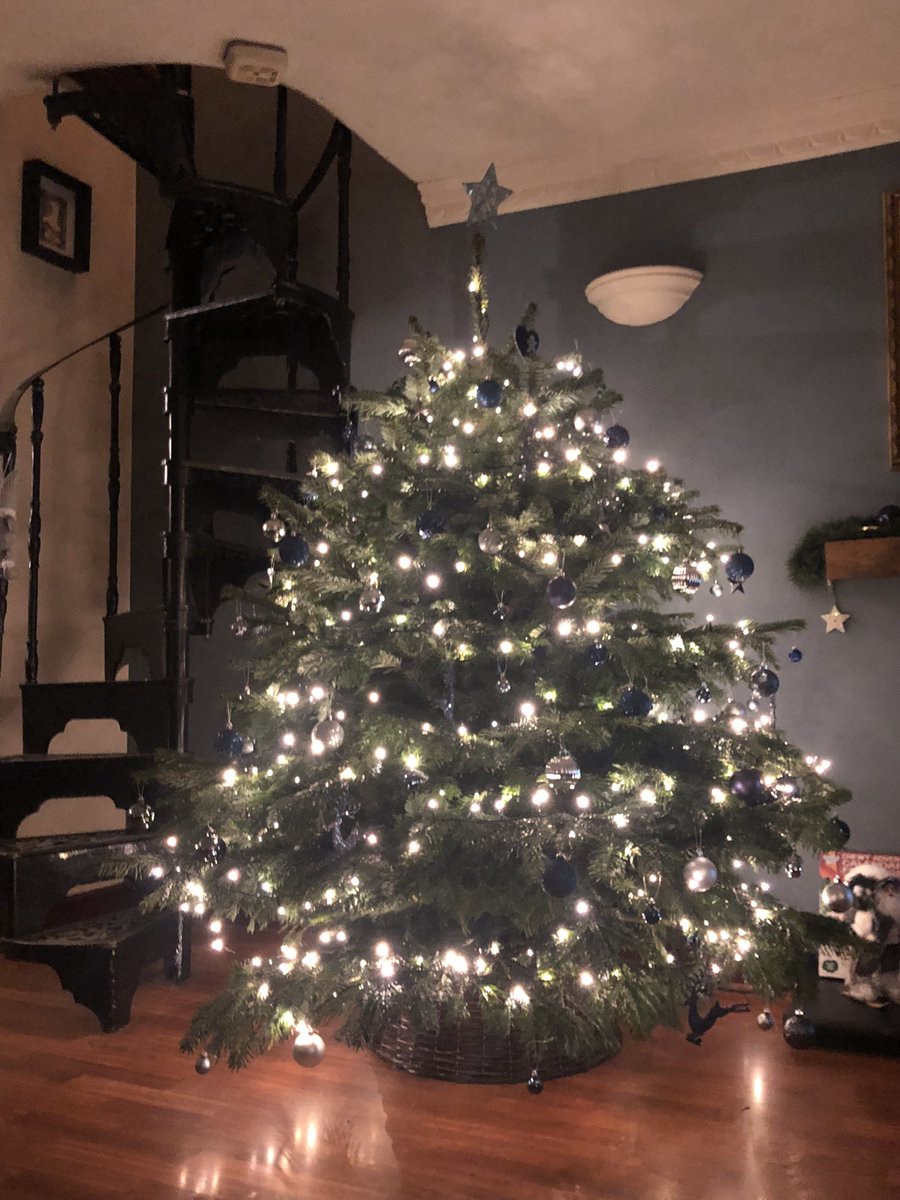 Stuart Howe tweet media