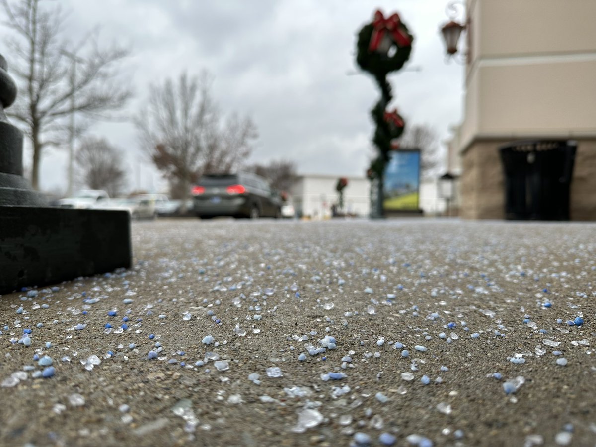 Molly Jett Heim tweet media