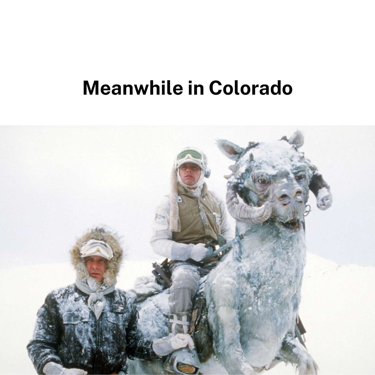 GovofCO's tweet photo. Daytime highs will likely be below zero. Please dress warmly ❄️🧤🧣🧦

For those wondering what the temperature is inside of a tauntaun— it’s Luke warm. https://t.co/Clu3EGfPbb