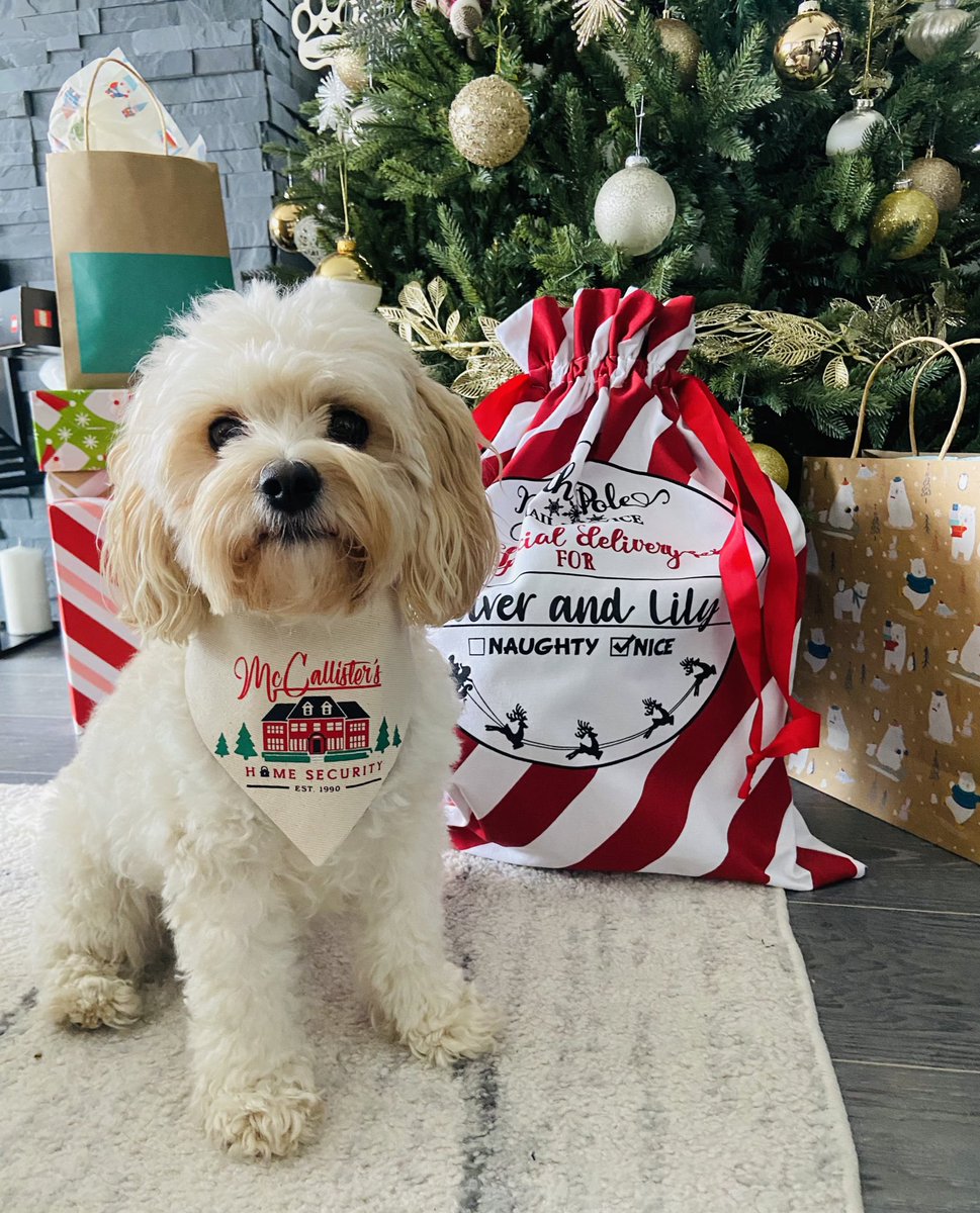 I apologize to everyone at GU Tumor Board this morning for the barking in the background. Faulty home security system. 1/5 stars.