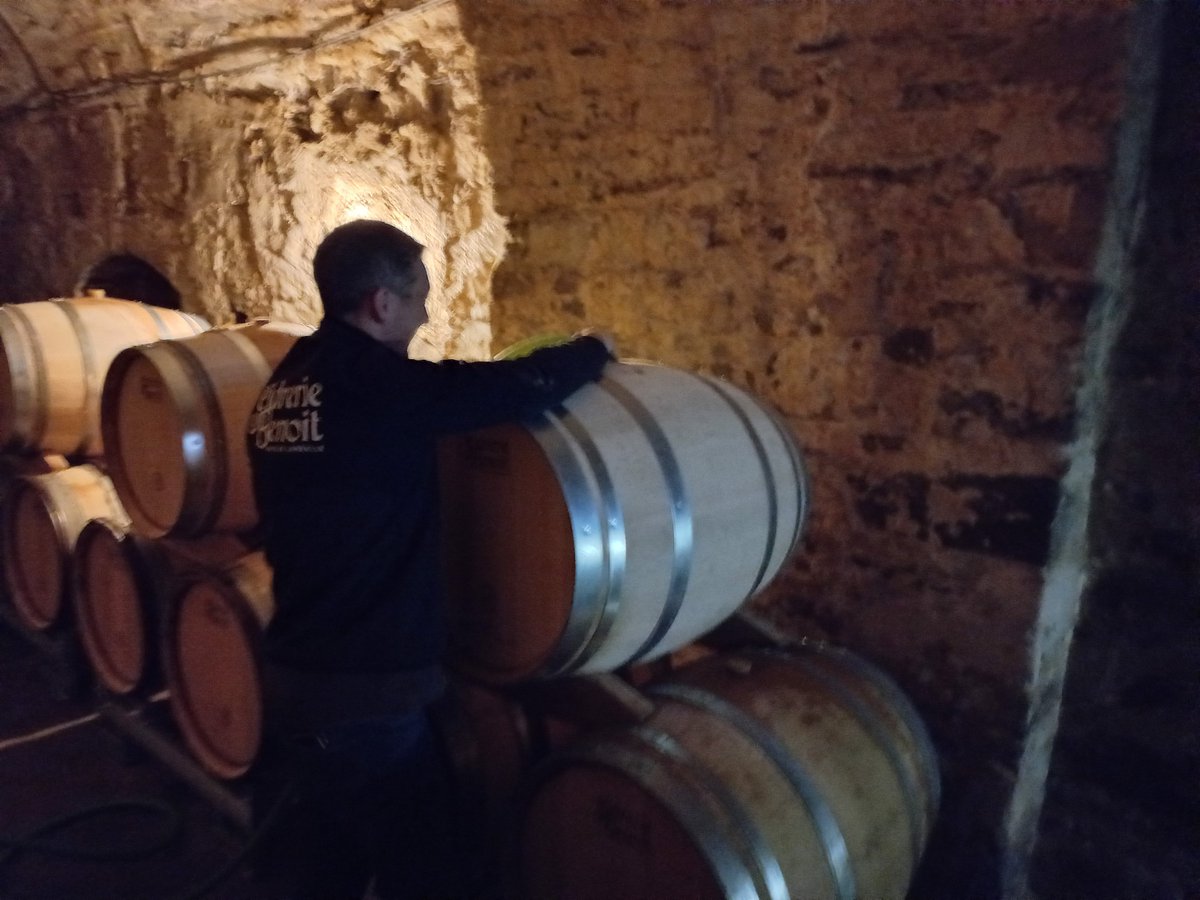 PhilippeHercou1's tweet photo. Descente traditionnelle de fûts de la Cidrerie Benoit sous la Collégiale de Lamballe pour sa cuvée prestige "Duché de Penthièvre 2022 bio" #Histoire , #patrimoine et #terroir à l’honneur. 1€/bouteille reversée à la Ville au profit du patrimoine. Une action remarquable à saluer. https://t.co/aHC0x3RmZh
