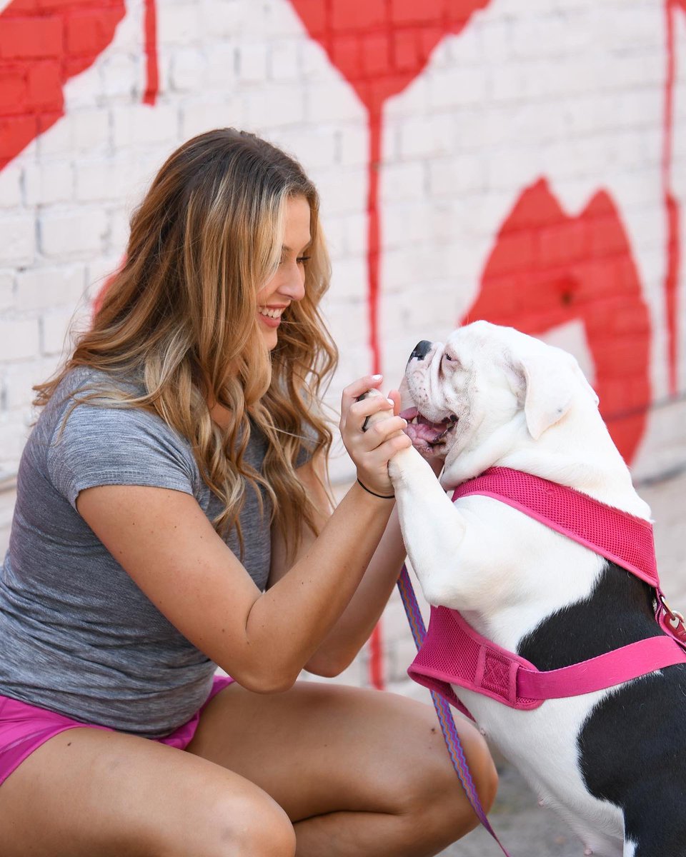 BelmontWBB's tweet photo. 𝘽𝙧𝙪𝙞𝙣𝙨 𝘽𝙏𝙎 | Caroline Bachus

“I love getting to spend time at home with my family and dogs!” 

other favorites: 💗,💅, 🐶

#splashville | #itsbruintime https://t.co/x23KWsdkD0