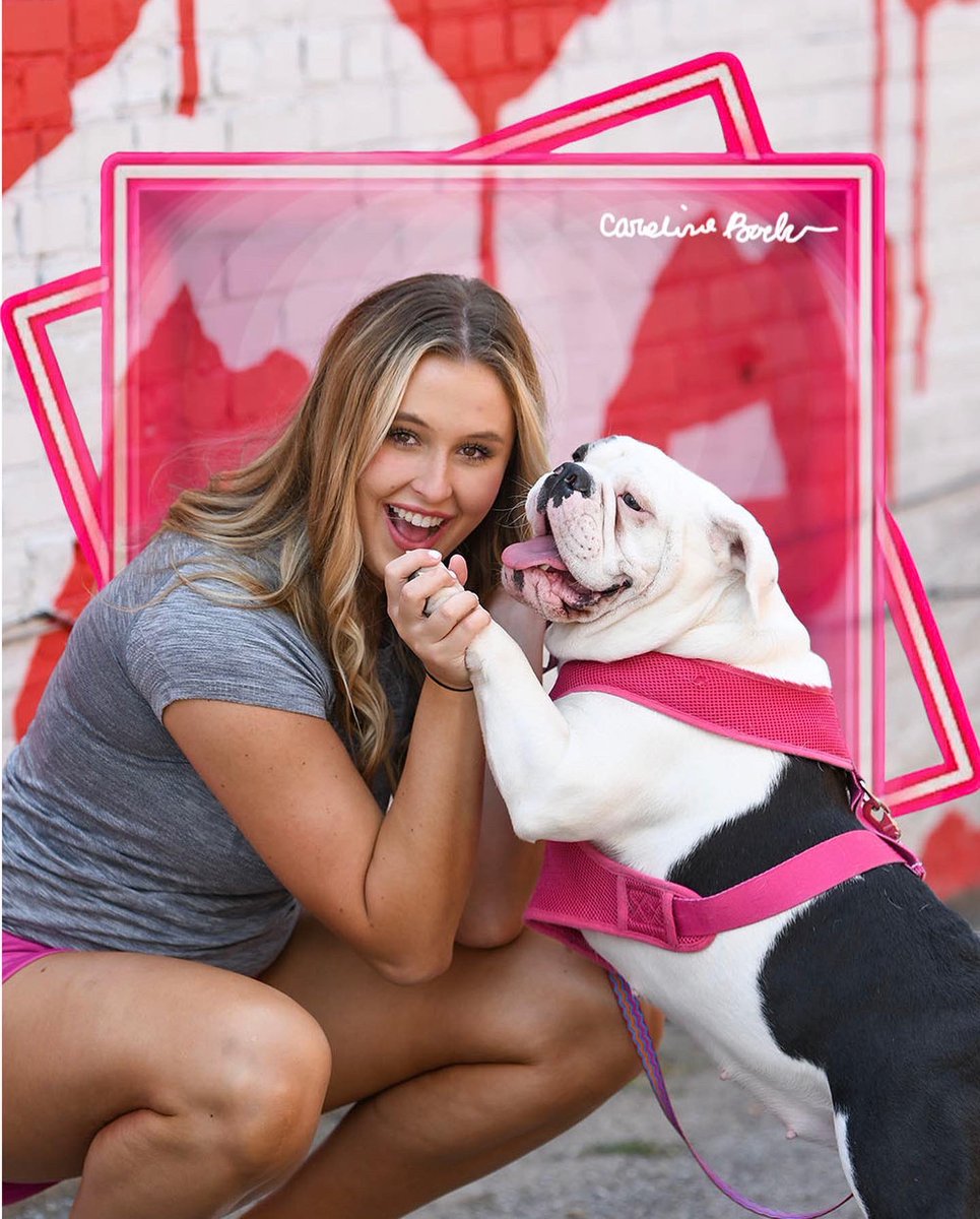 BelmontWBB's tweet photo. 𝘽𝙧𝙪𝙞𝙣𝙨 𝘽𝙏𝙎 | Caroline Bachus

“I love getting to spend time at home with my family and dogs!” 

other favorites: 💗,💅, 🐶

#splashville | #itsbruintime https://t.co/x23KWsdkD0