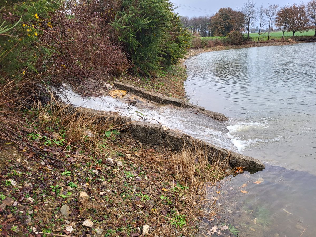 menierjeanrene's tweet photo. #agriculture
Pour la 3ème année consécutive mon stock d'eau sera complet au 31 décembre
Pas étonnant
avec 130 millions de litres de pluie sur le bassin versant de mes réserves en 1 semaine, ce sera moins d'inondation plus loin
L'adaptation c'est faire du stock quand il pleut https://t.co/XQhDJqPRqH