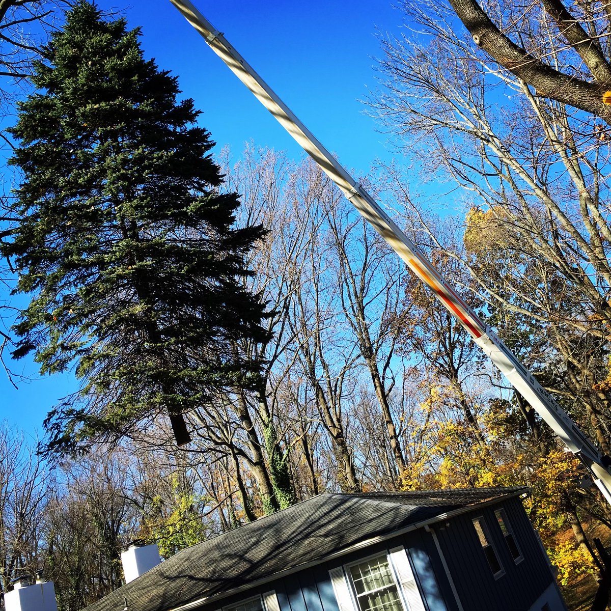RicksExpertTree's tweet photo. LAST DAY firewood &amp; free estimates. Closing @ 1pm ✱EMERGENCY tree service: Text 267-246-2468✱ Storms later today &amp; while we're away. 24/7 for emergencies Request via text or https://t.co/ezjvVIaqyB Reopen our office Mon 1/2/23. From our family to yours: Happy holiday &amp; New Year https://t.co/w4bxdKUCYN
