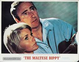 tomlis's tweet photo. #TheMalteseBippy w/ #DanRowan #DickMartin was not a hit in 1969 & fell flat. #CarolLynley said, "I was talked into doing this film, against my better judgement...my agent and manager negotiated a very good salary. That’s why I did it.” Read more in my @bearmanormedia Lynley book. https://t.co/TDKztt1rmS