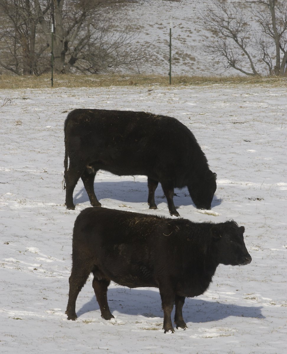 UK Biosystems & Agricultural Engineering tweet media