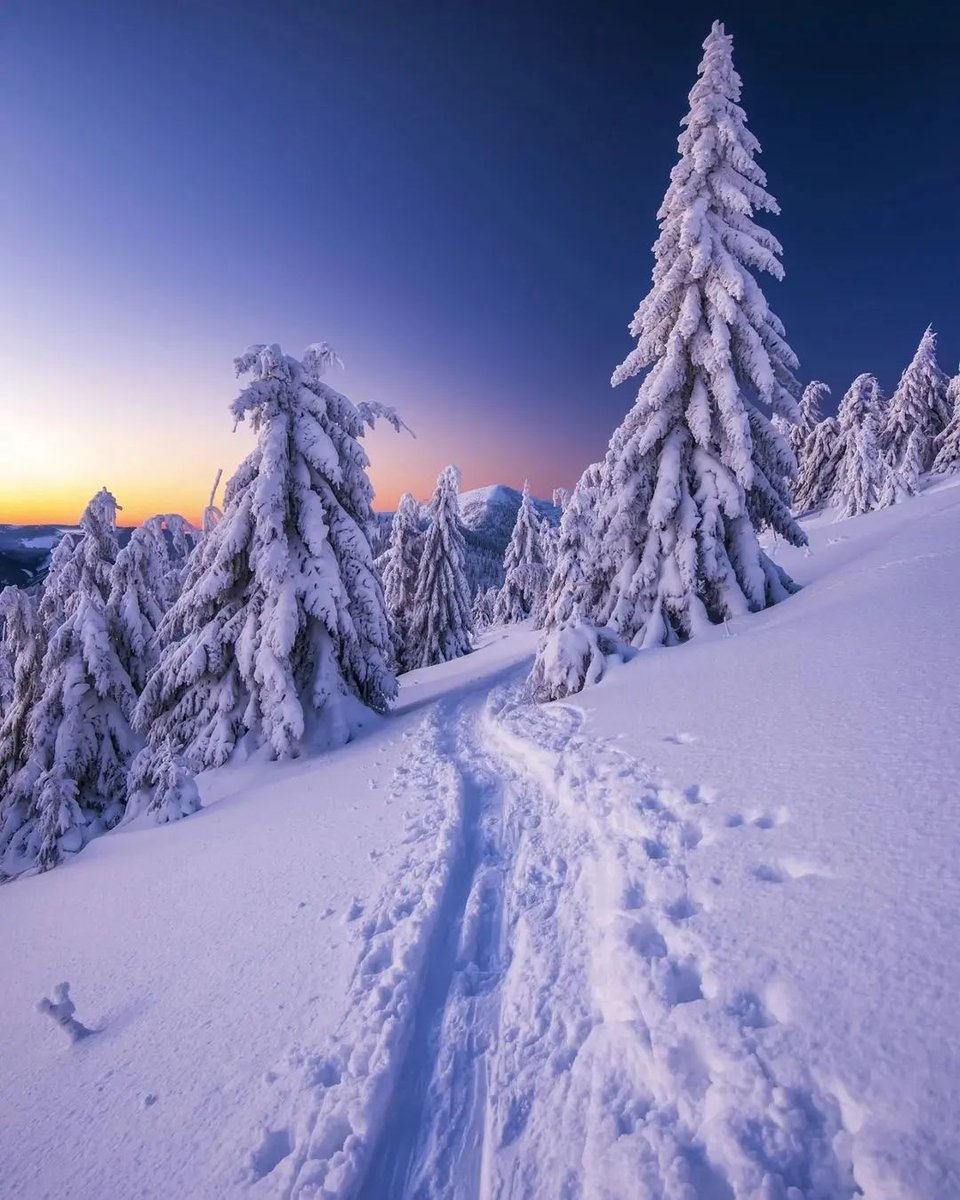 Good Evening 💜💜