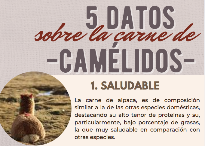 Red Ganaderos tweet media