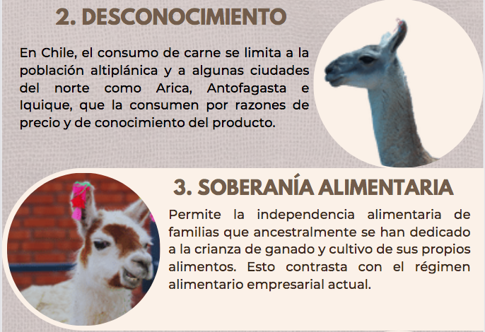 Red Ganaderos tweet media