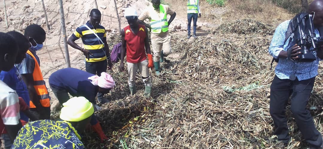economieverteC's tweet image. Projet de valorisation de la Jacinthe d'eau en compost dans la commune de LAGDO, région du Nord Cameroun.
Le @rapeaj présent à la formation des jeunes.
Merci à Coop-CA REDD, le porteur du projet !
#ActNow 
#Vert