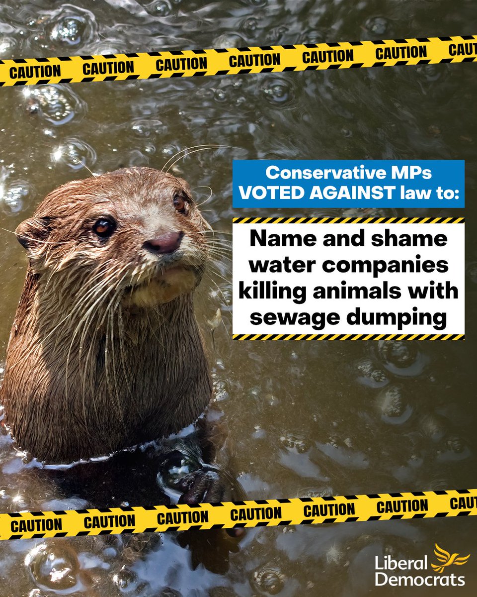 Liberal Democrats tweet media