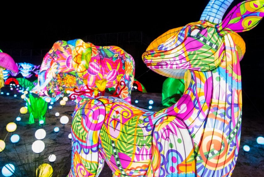 CitizenKid (@citizenkid_) on Twitter photo Un #spectacle sans précédent vous attend au <a href="/ZooAmneville/">Zoo d'Amnéville</a> qui accueille pour la première fois le Festival Luminescences > citizenkid.com/sortie/festiva… Un #spectacle sans précédent vous attend au <a href="/ZooAmneville/">Zoo d'Amnéville</a> qui accueille pour la première fois le Festival Luminescences > citizenkid.com/sortie/festiva…