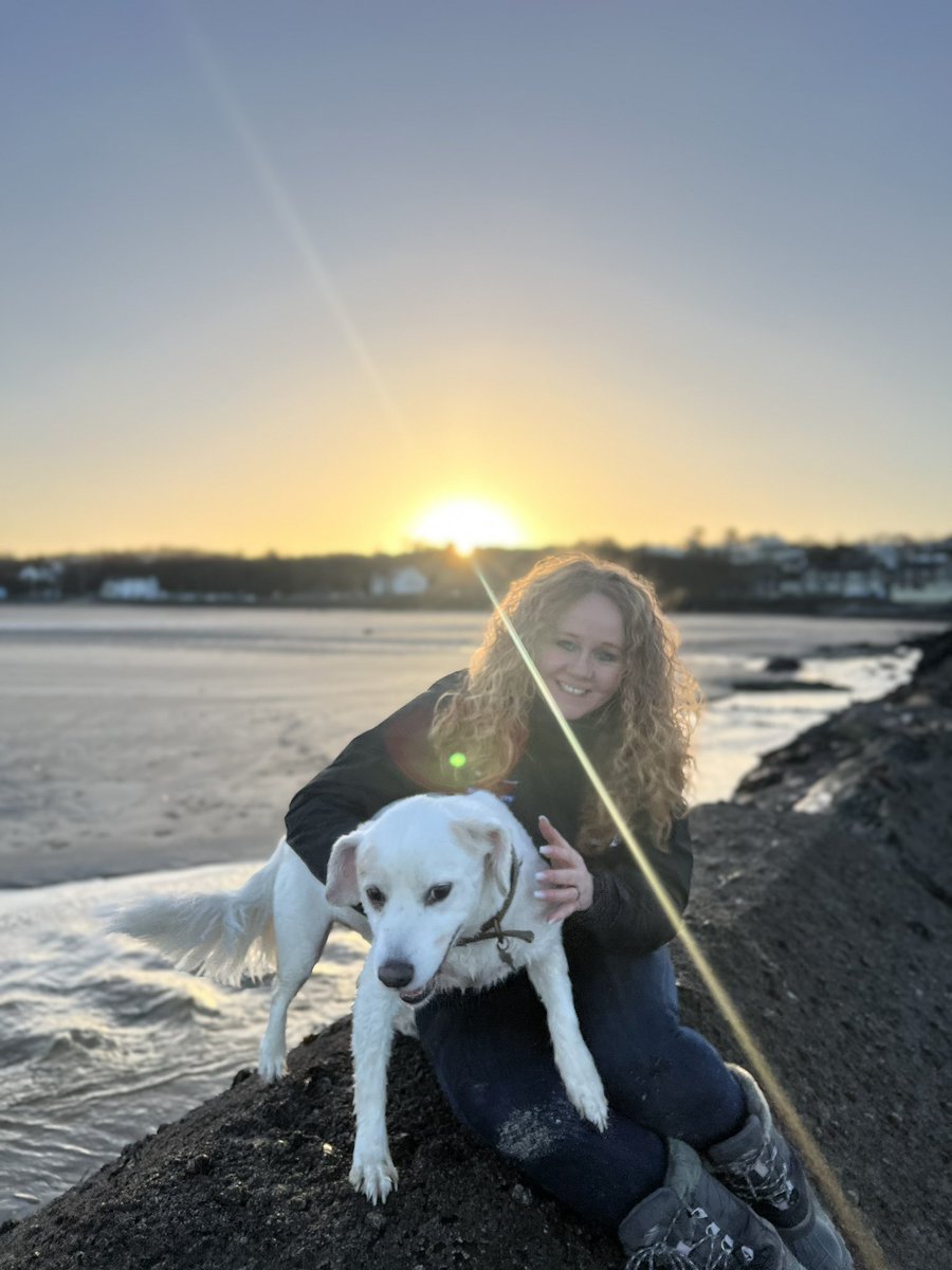 Auto_Lass's tweet photo. You know when I said my dog is living the dream ??? 🤣🐶 #dogsarefamily #DogsofTwittter #dogsholiday #anglesey #wales #beach https://t.co/bpMfVgDf4H