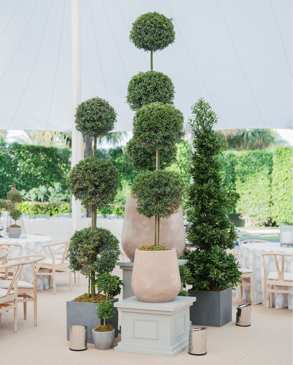 HMR Designs tweet media