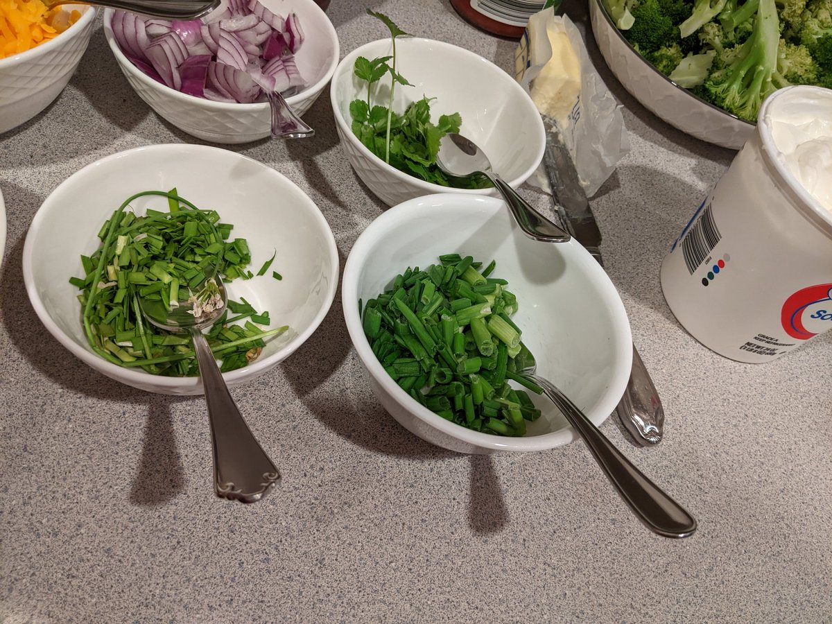 FSDGarden tweet media