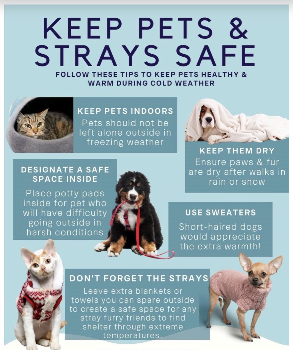 Tonight’s forecast will be the coldest in decades. Bundle up and don’t forget about your furry friends! Special thanks to our partners at Medrano Produce for their models Abby &amp; Molly, who are already nestled and snug in their beds! 🐾