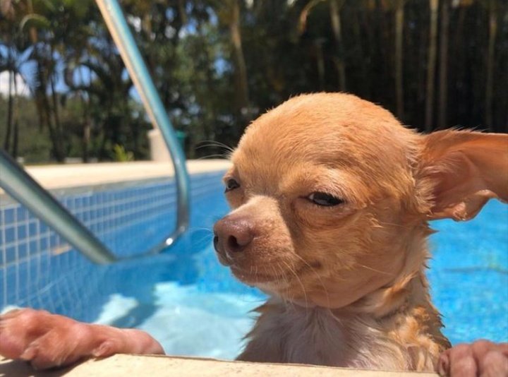 Ndayamba ntchito ku waterboard apapa ndili pa shop yogulitsa tameki, mukapume amalawi