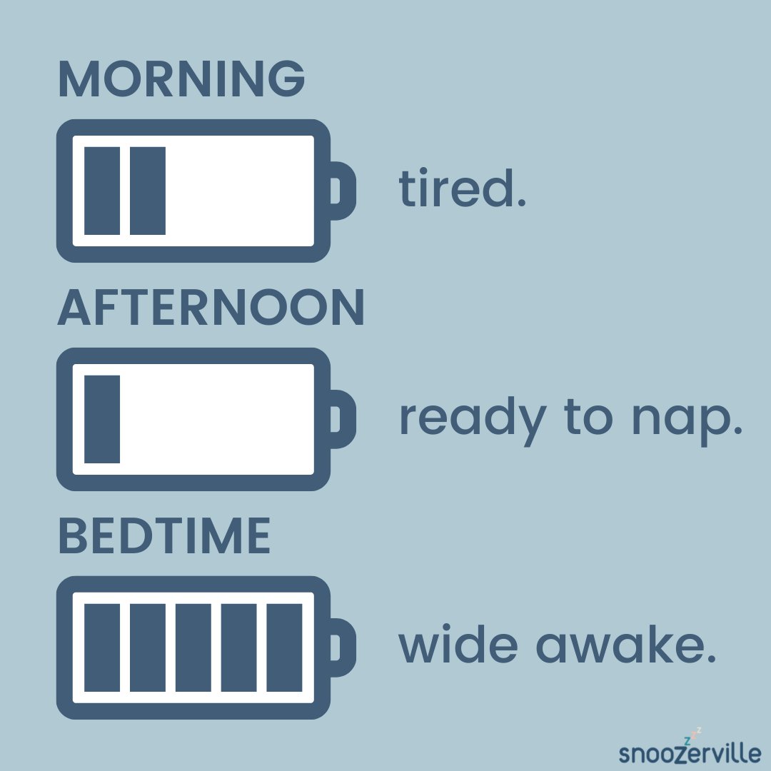 snoozerville's tweet photo. Energy levels of a night owl. Who hooo hooo can relate? 
Z
z
z
z
z
#sleep #zzz #snoozerville #sleepsupport #sleepcoach #sleeptips #sleephygiene #sleepbetter #sleeping #snooze #sleepy #nightowl #instaenergy #energy #energylevels #slumber https://t.co/5PWnwl91iQ