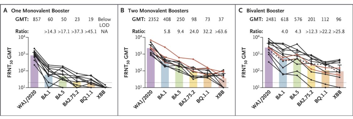 Nuevo estudio confirma lo ya dicho:

👉🏻Las vacunas bivalentes -actualizadas- logran MAYOR neutralización de las variantes de Ómicron hoy en circulación: BA.2.75.2, BQ.1.1 y XBB, q las 💉vacunas originales…

…No pierdo la esperanza de q eventualmente las tendremos en México…🙏🏻