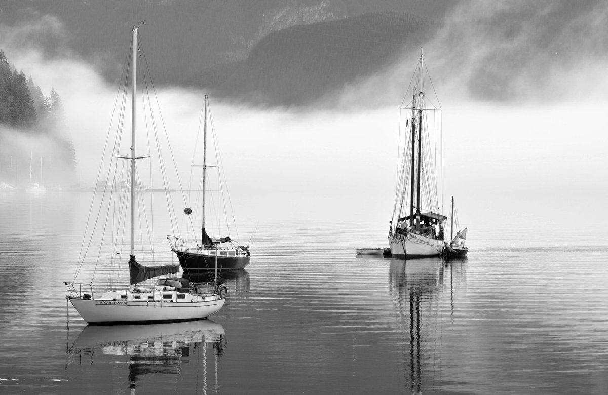 Sam_Alexandra23's tweet photo. @jasonrowphoto #MysticalScene #DeepCoveBC #NorthVancouverBC #Canada #Photography #Seascape #fog #Mountains https://t.co/eAi0C7MNEs
