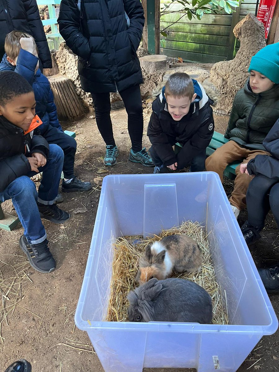 The Food Bus tweet media