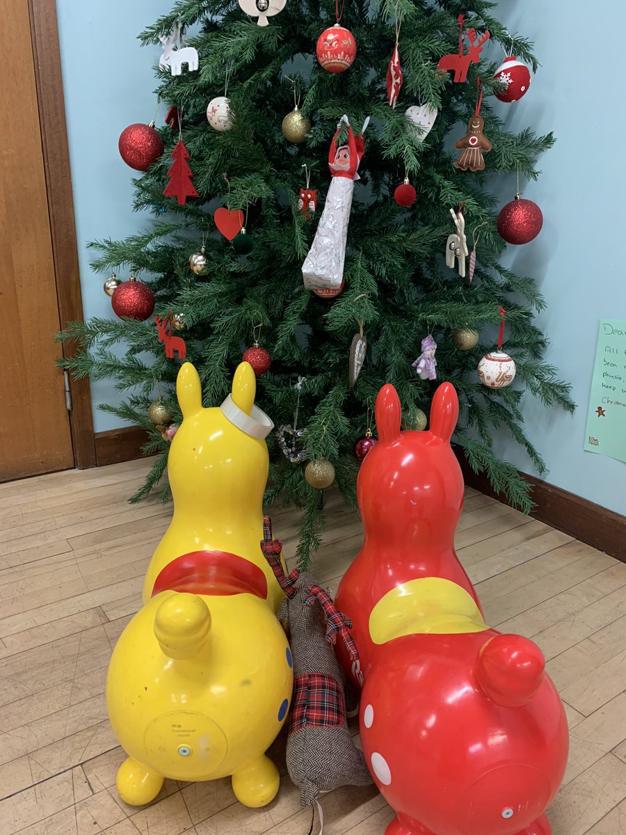 The Rody’s got their own back and gift wrapped the Elf! Can you spot where he is on the tree?