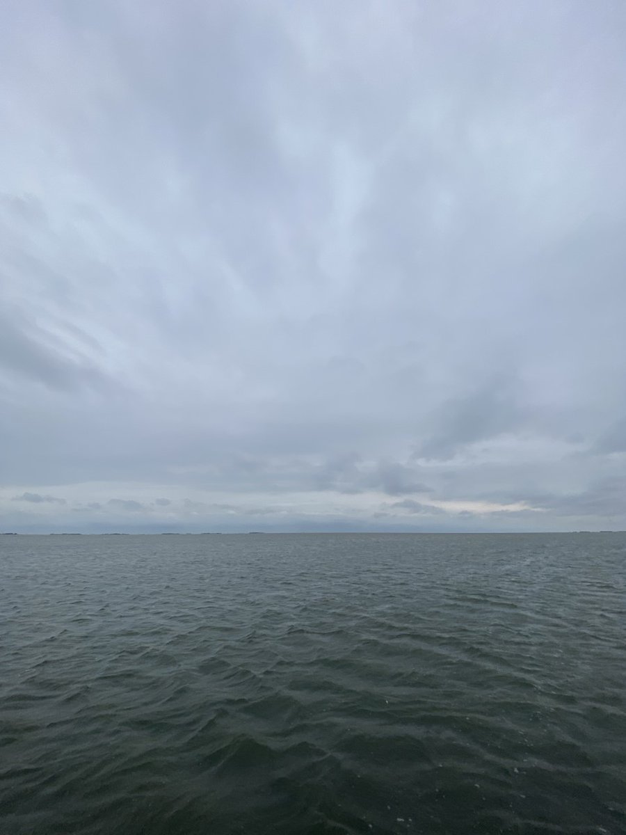 CCA_Texas's tweet image. Everyone, please take caution before this very strong cold front hits our Texas coast. In a matter of a few hours, air temperatures will drop significantly and winds will steadily increase throughout the evening and into tomorrow. Y'all be safe!