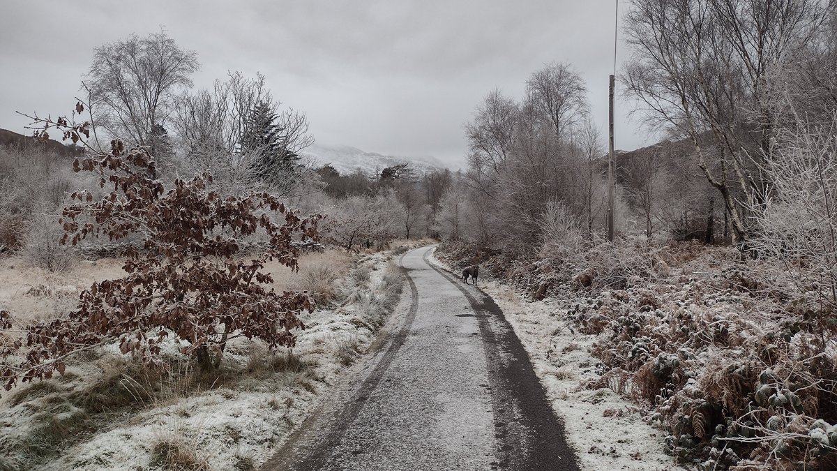 plas_tanygraig's tweet photo. Frozen river and winter scenes in Beddgelert during the recent cold snap 🥶❄️
https://t.co/zC4S0w4a7E
#plastanygraig #beddgelert #eryri #snowdonia #visitwales #findyourepic #WalesByTrails https://t.co/Tql1ZOqiqO