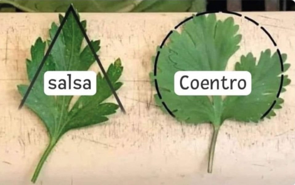 De nada!
👌🙃