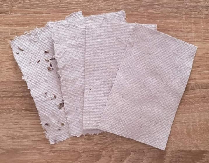 BrieIY's tweet photo. 💜 THROWBACK THURSDAY! 💜
This was my first attempt at homemade paper made 100% from junk mail! I want to make a full notebook/sketchbook of completely recycled paper someday! #diy #crafts #youtube
You can watch the video for it here: https://t.co/NmPvKLJSH1 https://t.co/880fKeappp