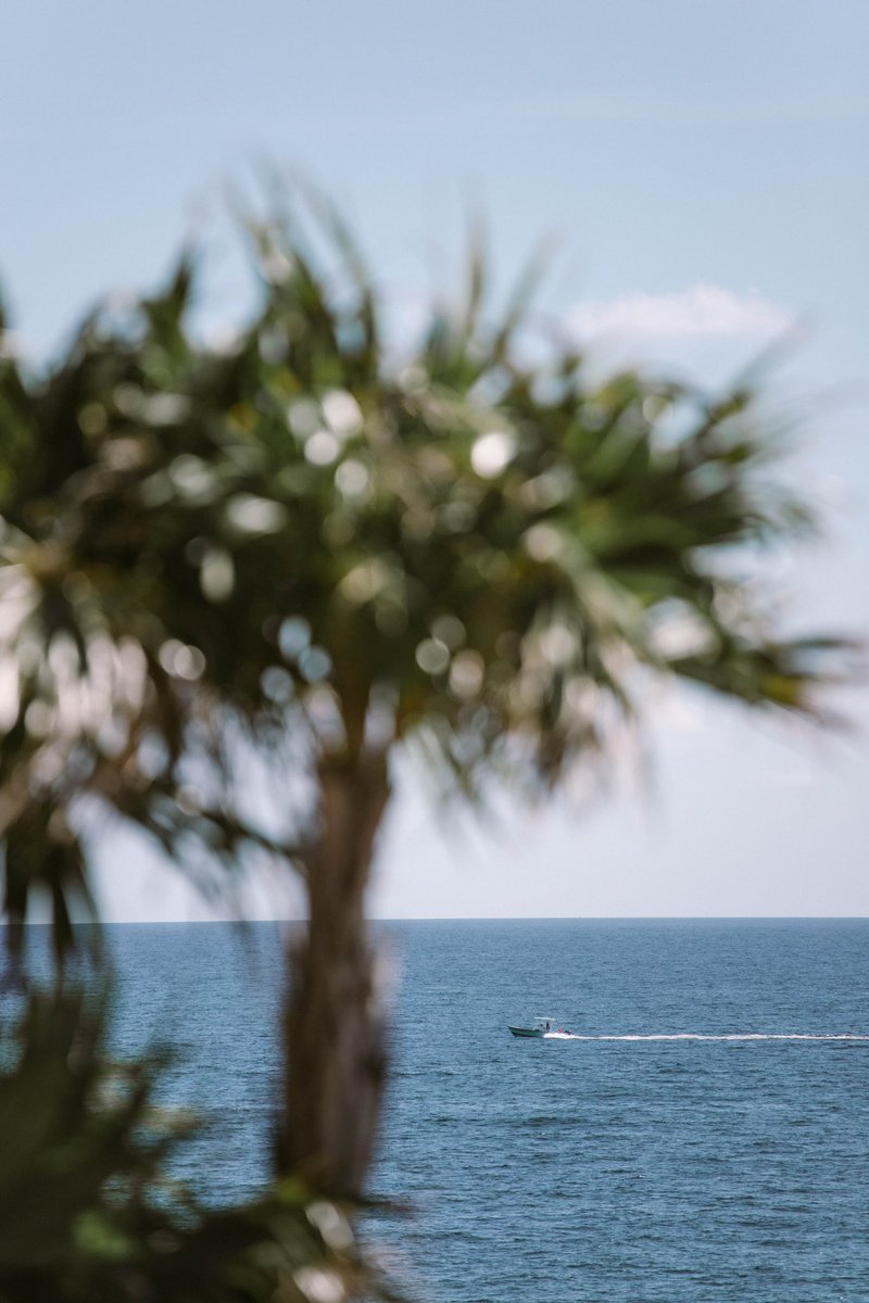 The colorway of your #FSFortLauderdale vacation by the water. Gaze out into scenes of sky-blushed horizons, ocean blues, and green swaying palms that canvas your private balcony view framed by the bright #FortLauderdale sunshine. #FourSeasons