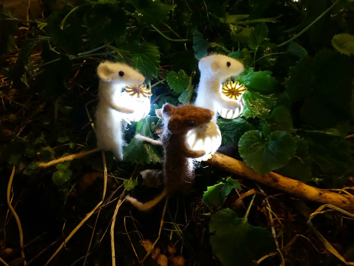 FolkloreThurs's tweet photo. The Lightbringers': The Folklore of the Turning Year by @andtheHare for #FolkloreThursday #Yule #WinterSolstice https://t.co/9G56Lu2q4e https://t.co/40jnvMM8ZH
