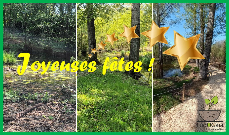 Toute l'équipe de <a href="/Ludogaia38510/">LudOGaïa</a> vous souhaite de très bonnes fêtes de fin d'année !😀
ludogaia.fr
#sortie #famille #nature #AuvergneRhôneAlpes #Isère #Lyon #BalconsduDauphiné