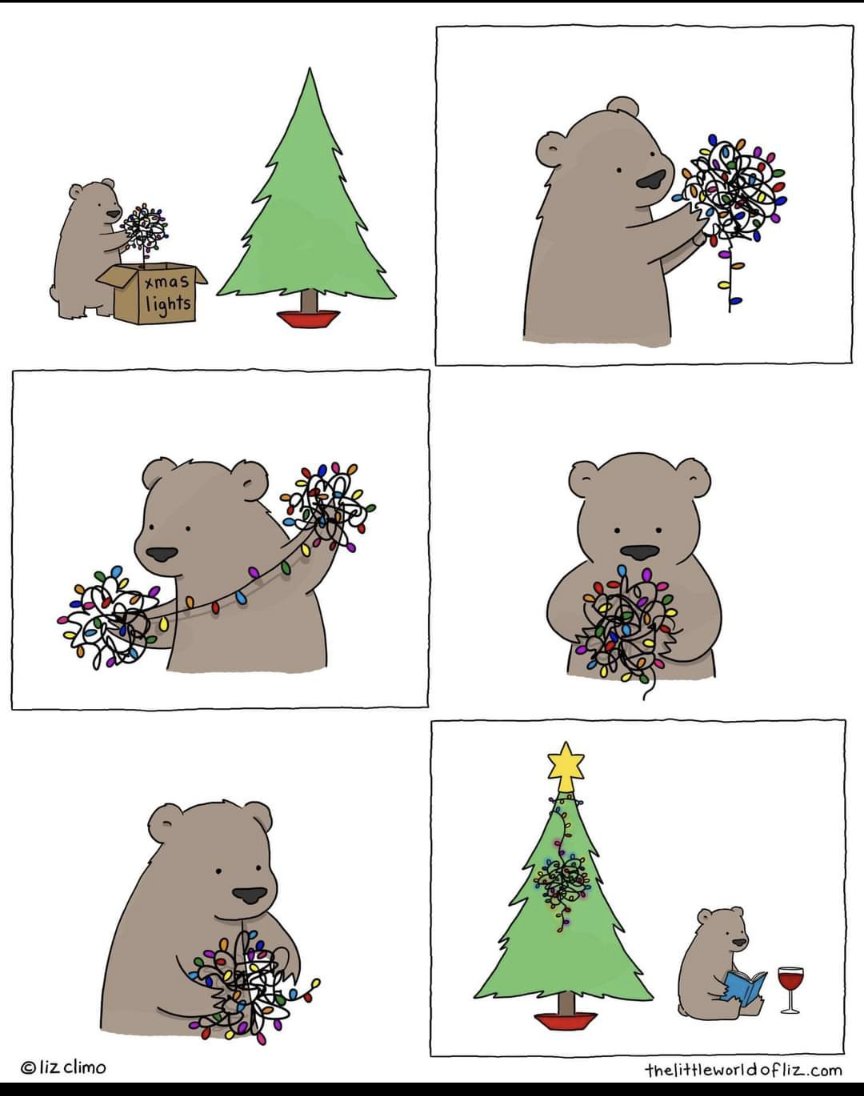 🐻📚🎄
