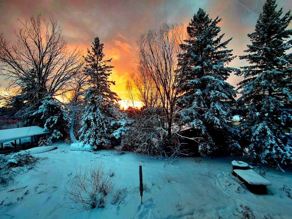 We’re taking the week off here at the #PurplePalace and are looking forward to hosting you all again next week. And our winter pool tournament is starting December 8. Only $10, every Sunday evening till the end of March. See Bob at the gas station to secure your spot.  Or stripe.