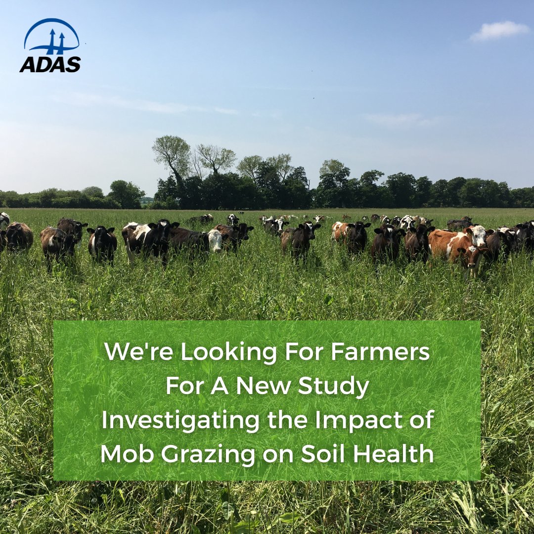 📢Calling all farmers, we need you!📢

We're conducting a study to investigate the impact of mob grazing on soil health 🪱🐄

To find out more and sign up, visit: eepurl.com/igL-MP

#livestock #soilhealth #agriculture #ukfarming