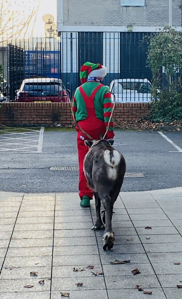 Andrea Conway (@andypandy0023) on Twitter photo And the Christmas festivities continue for the young people and staff in the Iveagh Centre #corballymobilefunfarm #santasreindeer <a href="/clairemck_psych/">Claire McKenna</a> <a href="/BelfastTrust/">Belfast Trust</a> And the Christmas festivities continue for the young people and staff in the Iveagh Centre #corballymobilefunfarm #santasreindeer <a href="/clairemck_psych/">Claire McKenna</a> <a href="/BelfastTrust/">Belfast Trust</a>