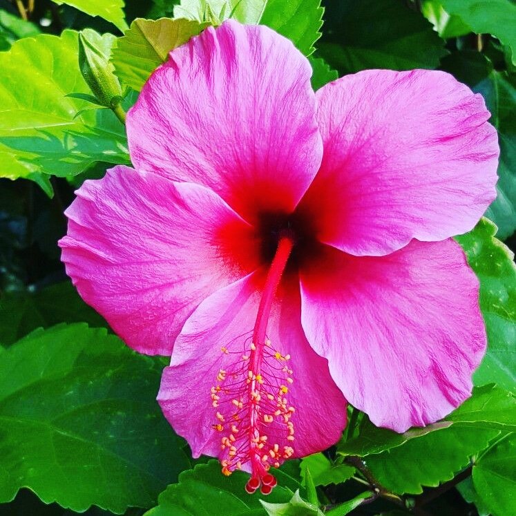 Pramend88775502's tweet photo. #NewProfilePic https://t.co/YQdKNND9ld
