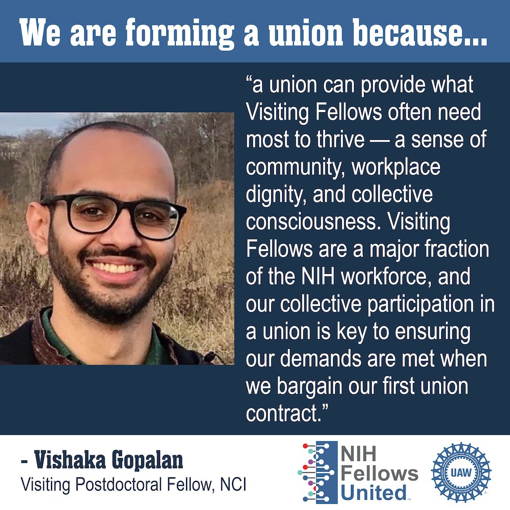 nihfellowsunite's tweet image. Visiting Fellows, who come to the NIH from outside the U.S. to do research work on temporary visas, face extra roadblocks to securing stable work. With a union, Visiting Fellows can bargain for better job security and more stable working conditions!