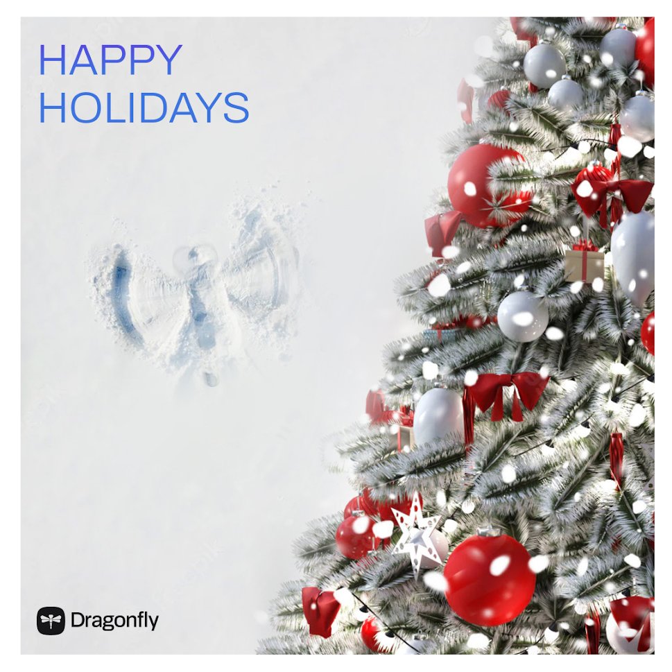 Happy Holidays! Thank you to all the developers in the DragonflyDB community who helped make this a really exciting year for the project, from 0 -> 16.4K GitHub stars, we have even bigger things planned for 2023!