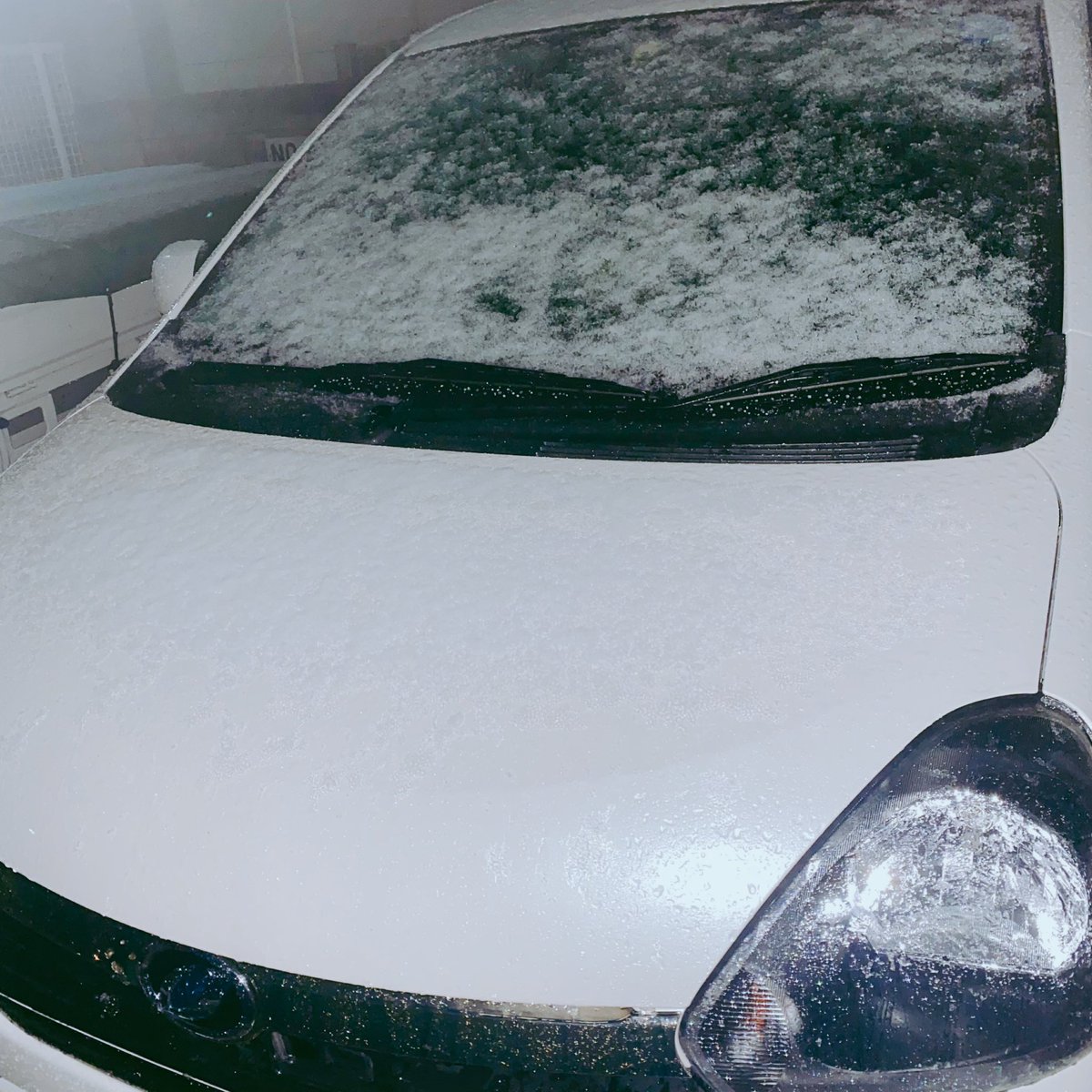 今日は寒かったねぇ⛄️
おやすみー😪💤