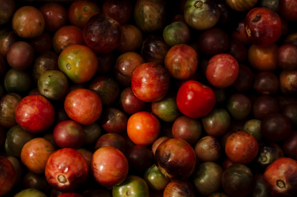 From everyone here at FFM, happy holidays! There will not be a market this Saturday, December 24th, or next Saturday, December 31st. Farm Truck 912 is also closed through the end of the year. Wishing everyone well, and see y'all in the new year!