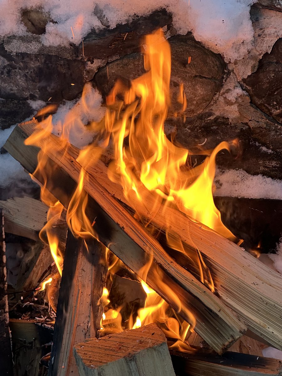 KateMessner's tweet photo. And just like that, there was a little more light in the world. Happy day-after-the-solstice, friends! https://t.co/Pj7oybaUqC