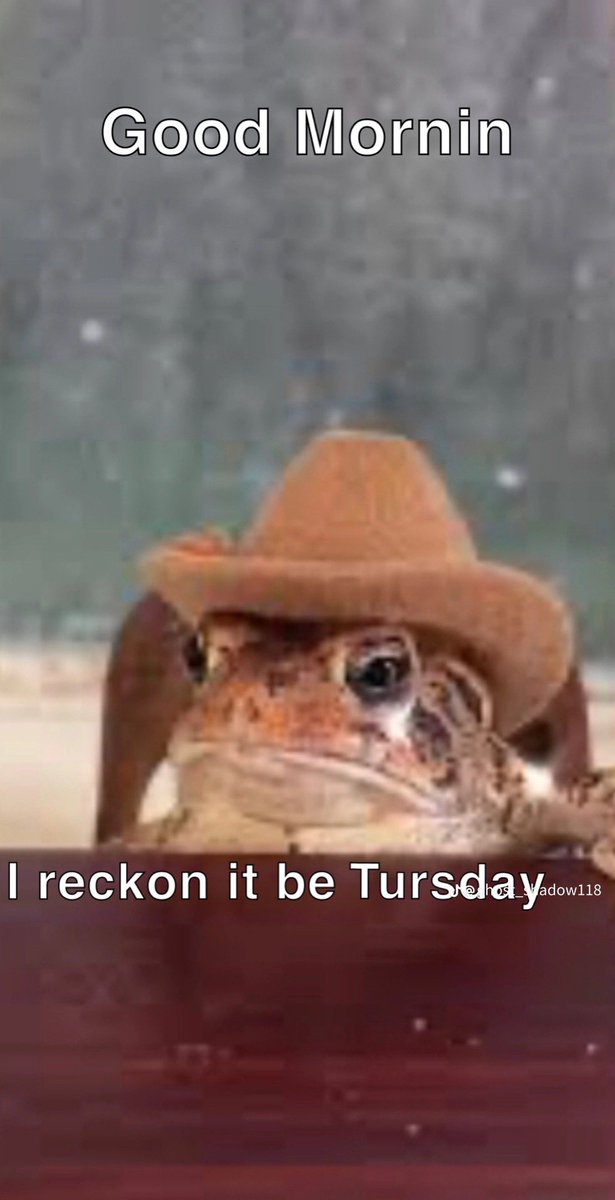 KiKi ✝ tweet media