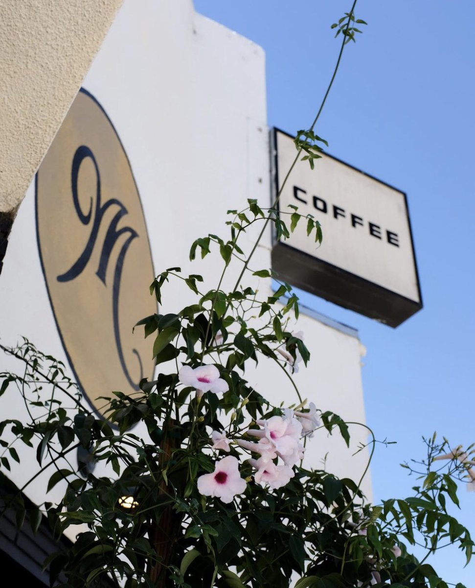 Menotti's tweet media