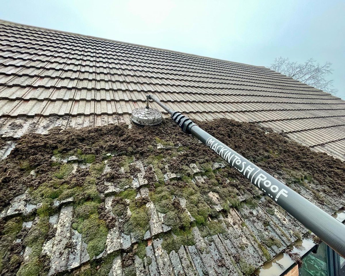 MackintoshClean's tweet photo. This was a pretty good transformation!πππΌ
#roofclean #pressurewashing #cleaning #mossremoval #restoration #clean #steamcleaning #pressurewashing #pressurewash #jetwash #jetwashing #powerwash #satisfying #transformation #aemackintosh #windowcleaner #local #professional #service https://t.co/n9Cw1KTcRv